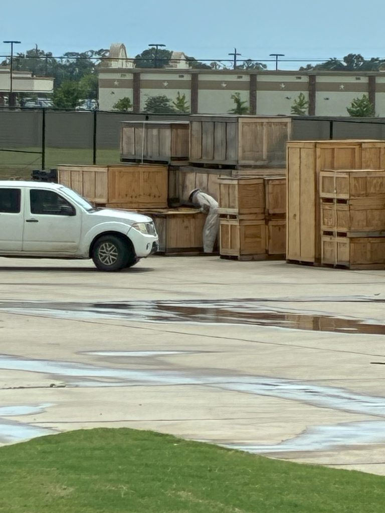 Blick auf das Palettenlager am Pepperl+Fuchs Standort in Katy. Eine Person in Imkerkleidung beugt sich über eine der Kisten.